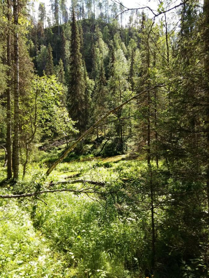 Salmikankaankelo C4 Ruka Dış mekan fotoğraf